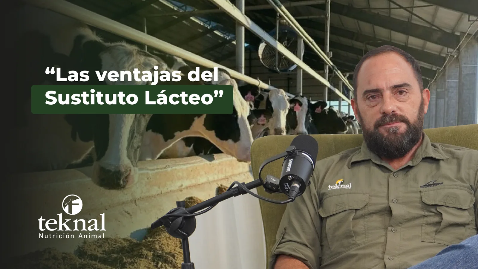 Fotografía original de la noticia publicada en Teknal