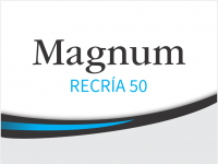 CERDOS_MAGNUM_RECRÍA 50